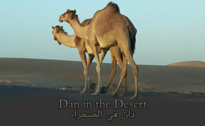 Dan in the Desert